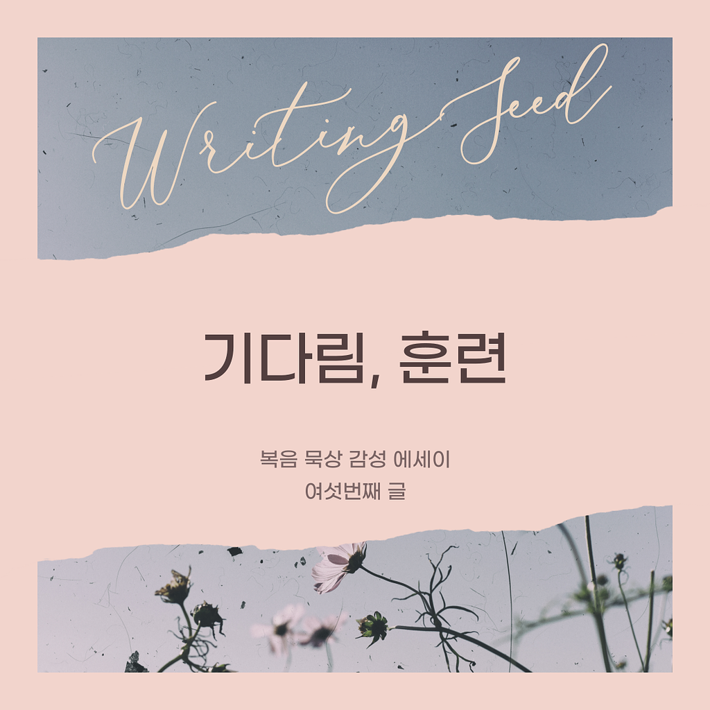 기다림, 훈련의 썸네일 이미지