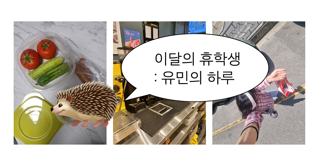 이달의 휴학생 : 유민의 하루🦔의 썸네일 이미지