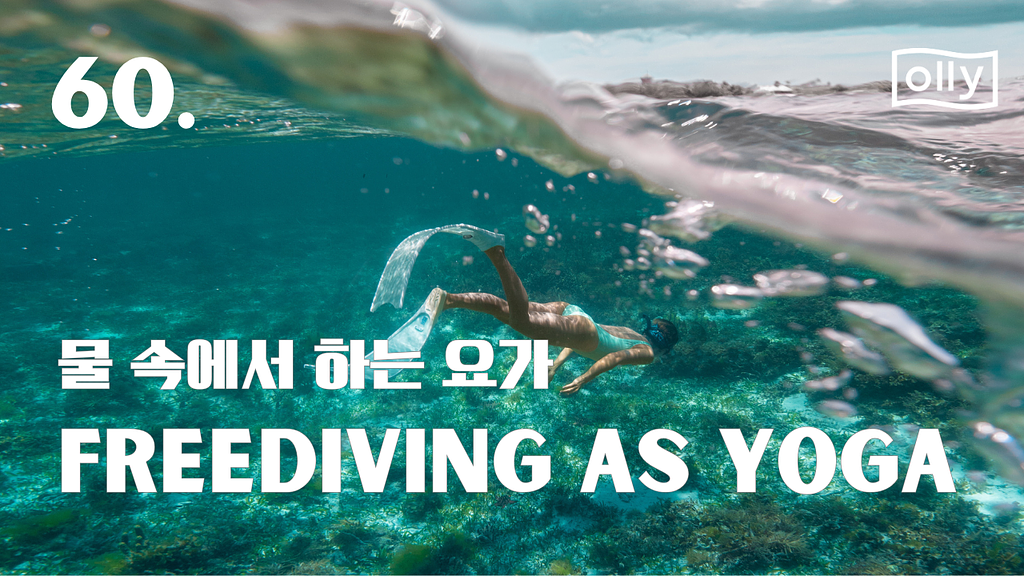 💌 60호. 프리다이빙과 요가가 만날 때의 썸네일 이미지
