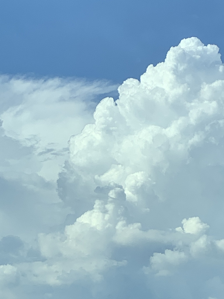 [여름] 여름 문턱에서 배운 것의 썸네일 이미지