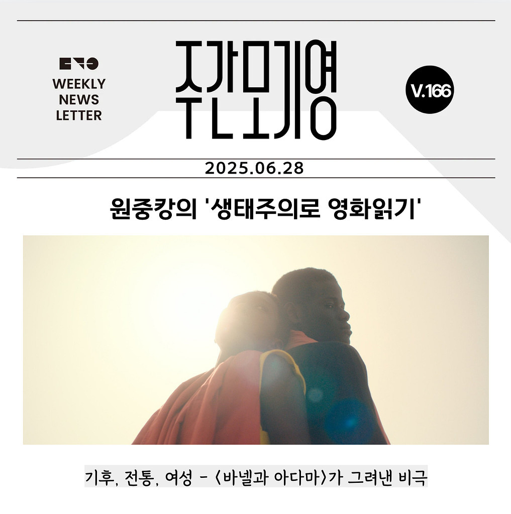 2025년 주간모기영 166호의 썸네일 이미지
