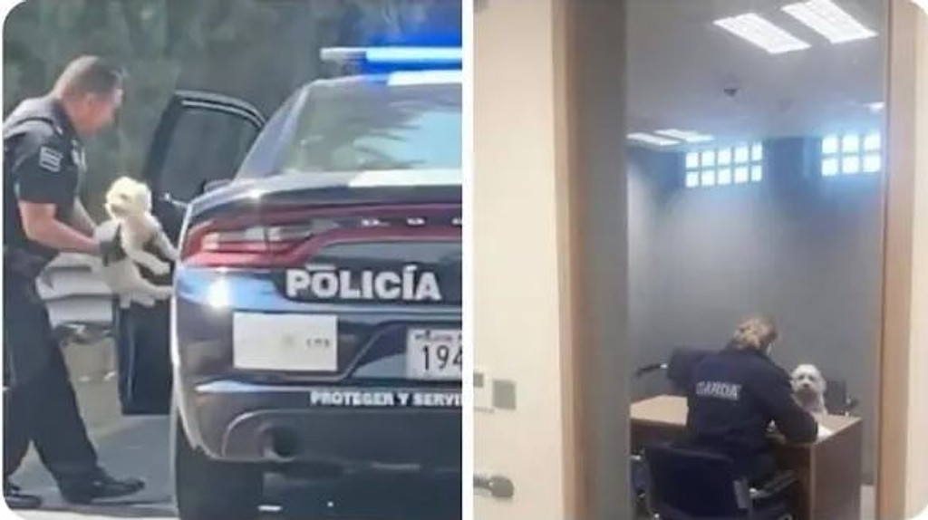 올해가 아직 반이나 남았다!의 썸네일 이미지