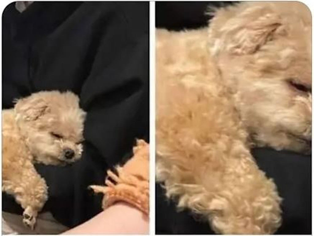 여름의 시작입니다. 의 썸네일 이미지