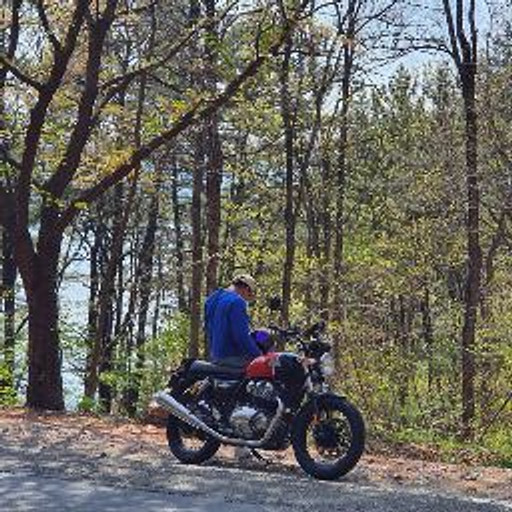 대왕꿀벌의 프로필 이미지