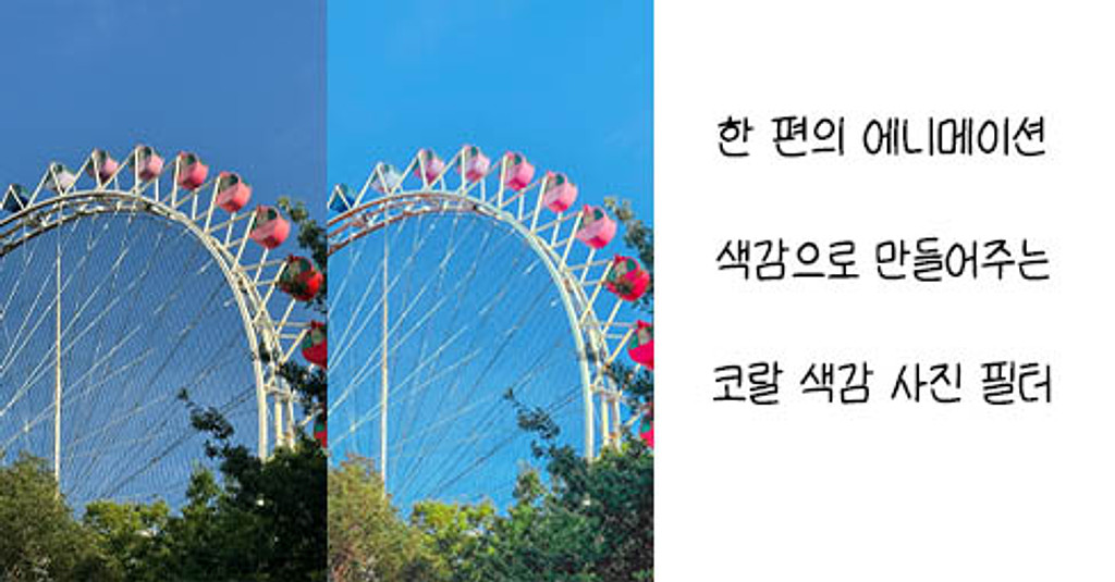 코랄 색감 사진필터의 썸네일 이미지