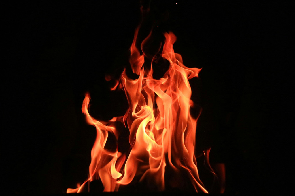 🔥 핫플, 진짜 좋은 거 맞아요?의 썸네일 이미지