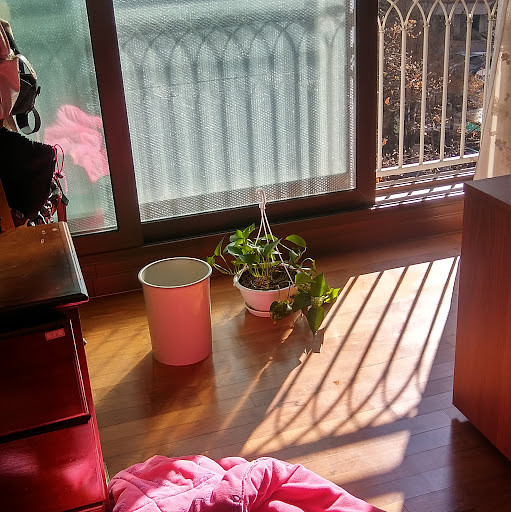 행찌의 프로필 이미지