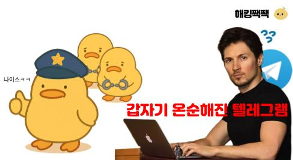 😨 텔레그램이 더 이상 안전하지 않은 이유의 썸네일 이미지