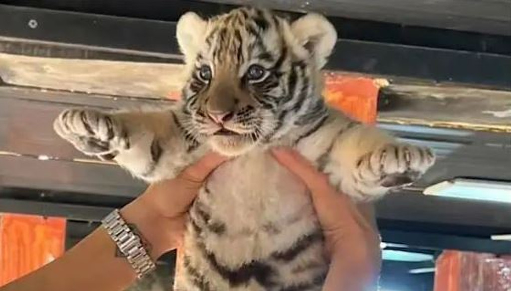 이번주 내내 비가 온다고 합니다의 썸네일 이미지