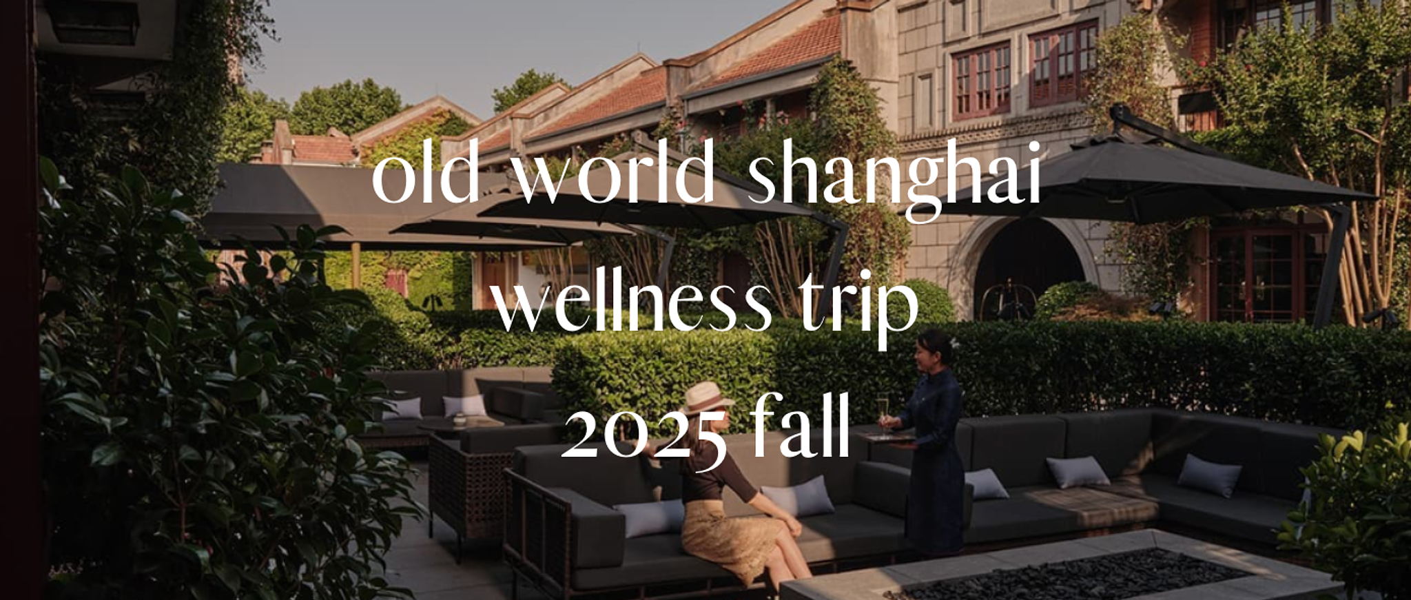 상하이 요가&웰니스 트립 날짜 확정의 썸네일 이미지