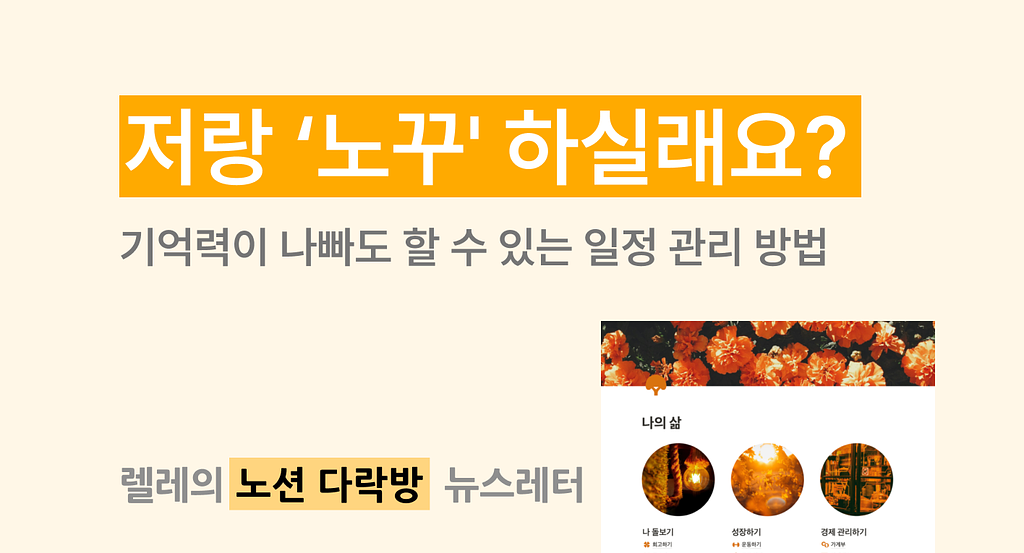 저랑 '노꾸' 하실래요?의 썸네일 이미지