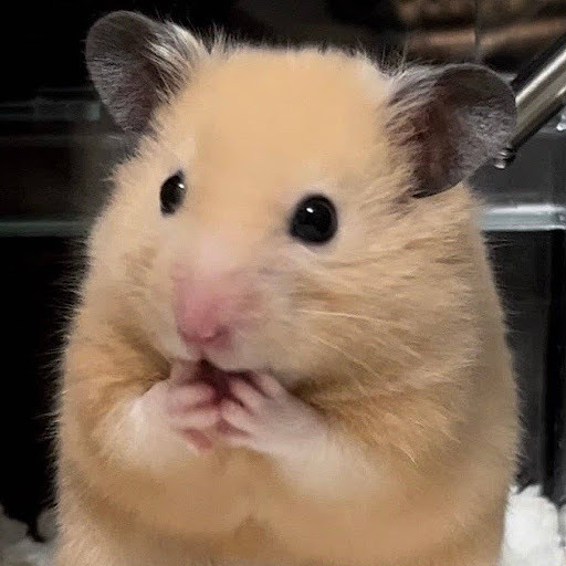 유진의 프로필 이미지