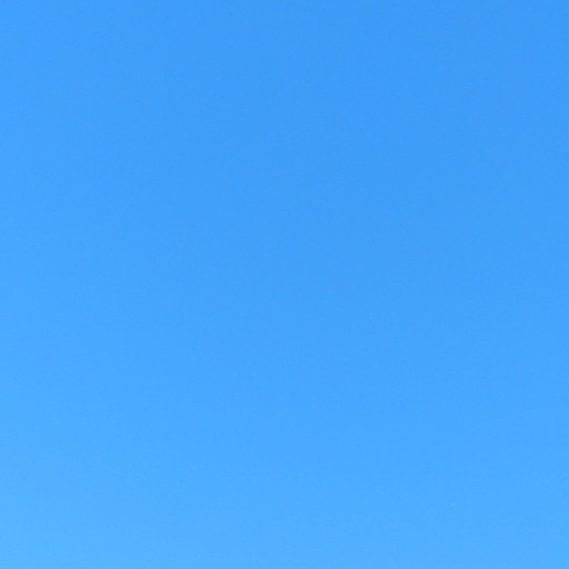 파랑의 프로필 이미지