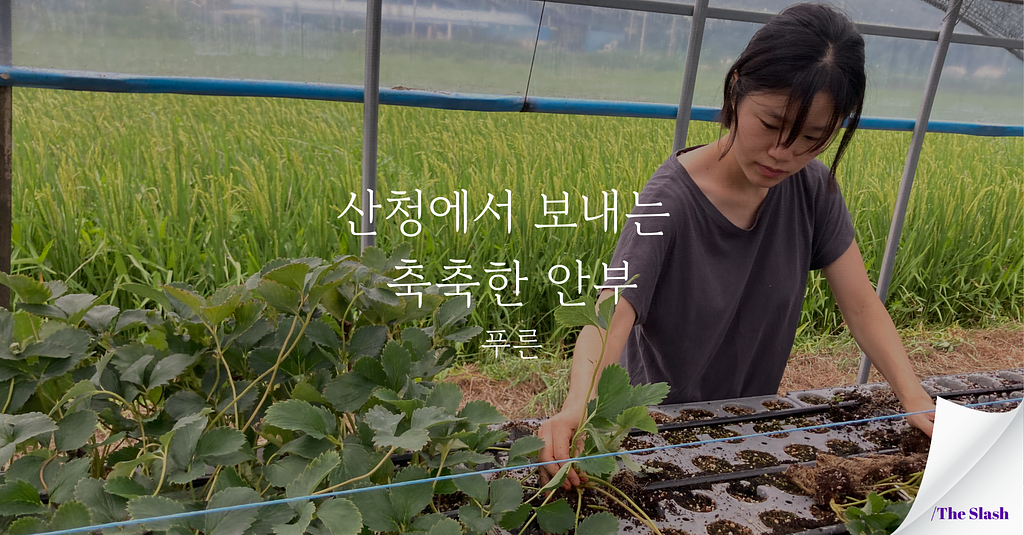 산청에서 보내는 축축한 안부 / 푸른의 썸네일 이미지