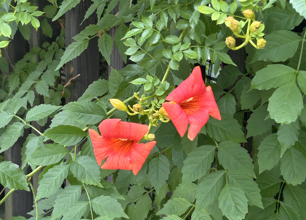 얘, %name%!의 썸네일 이미지