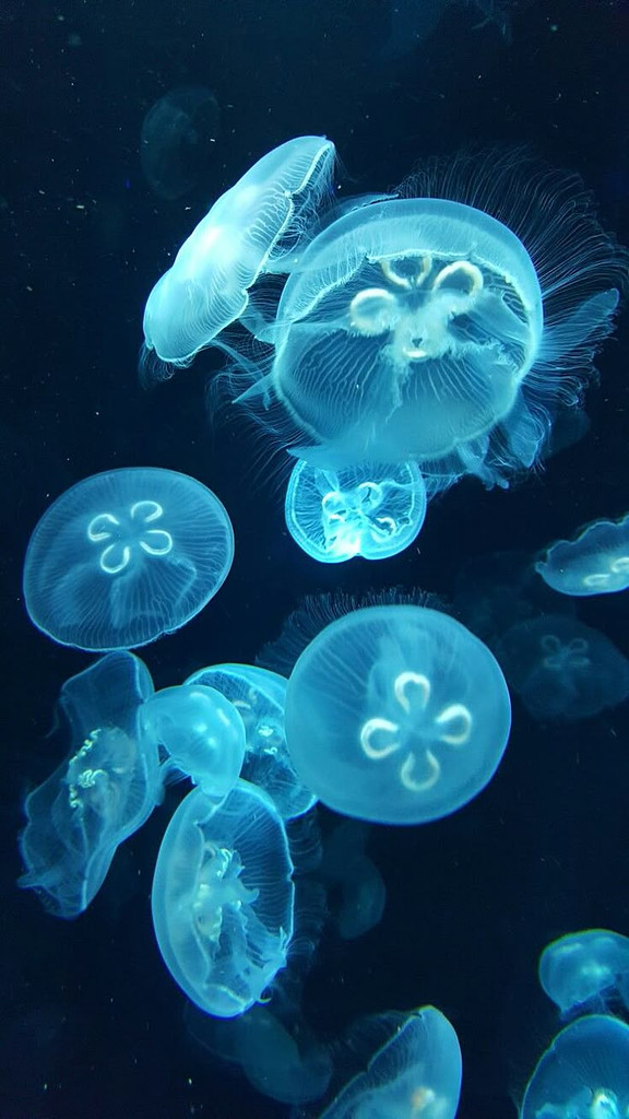 아무래도 한무무와 이별을 해야할 것 같다..의 썸네일 이미지