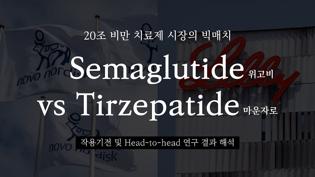 20조 비만 치료제 시장의 빅매치 '위고비 vs 마운자로', 어떻게 흘러가고 있을까?의 썸네일 이미지