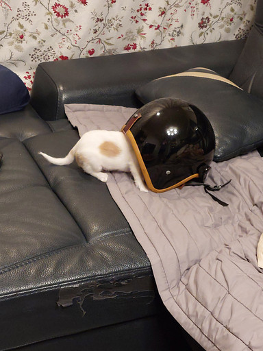 엣지러너의 프로필 이미지