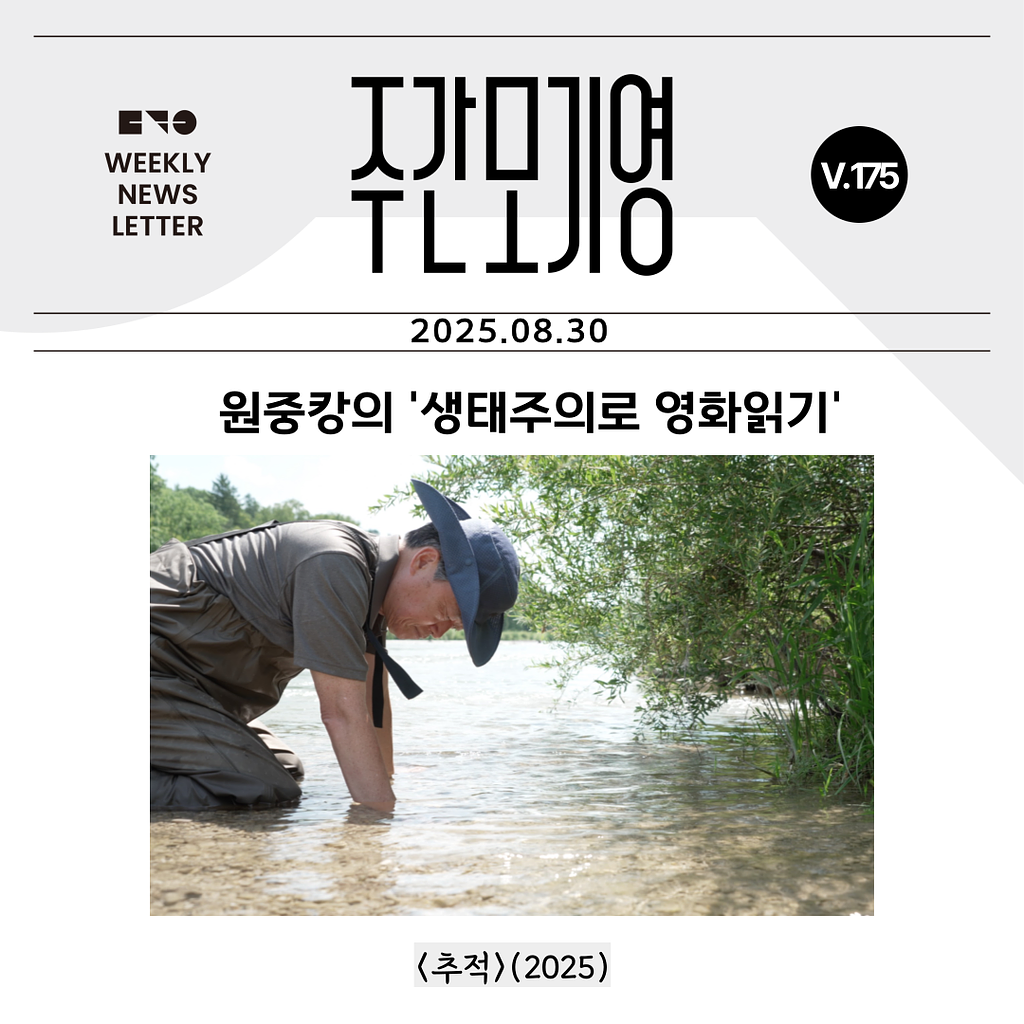 2025년 주간모기영 175호의 썸네일 이미지