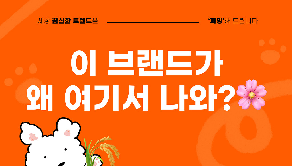사용자가 더 좋아하는 브랜드의 홍보 전략은?의 썸네일 이미지