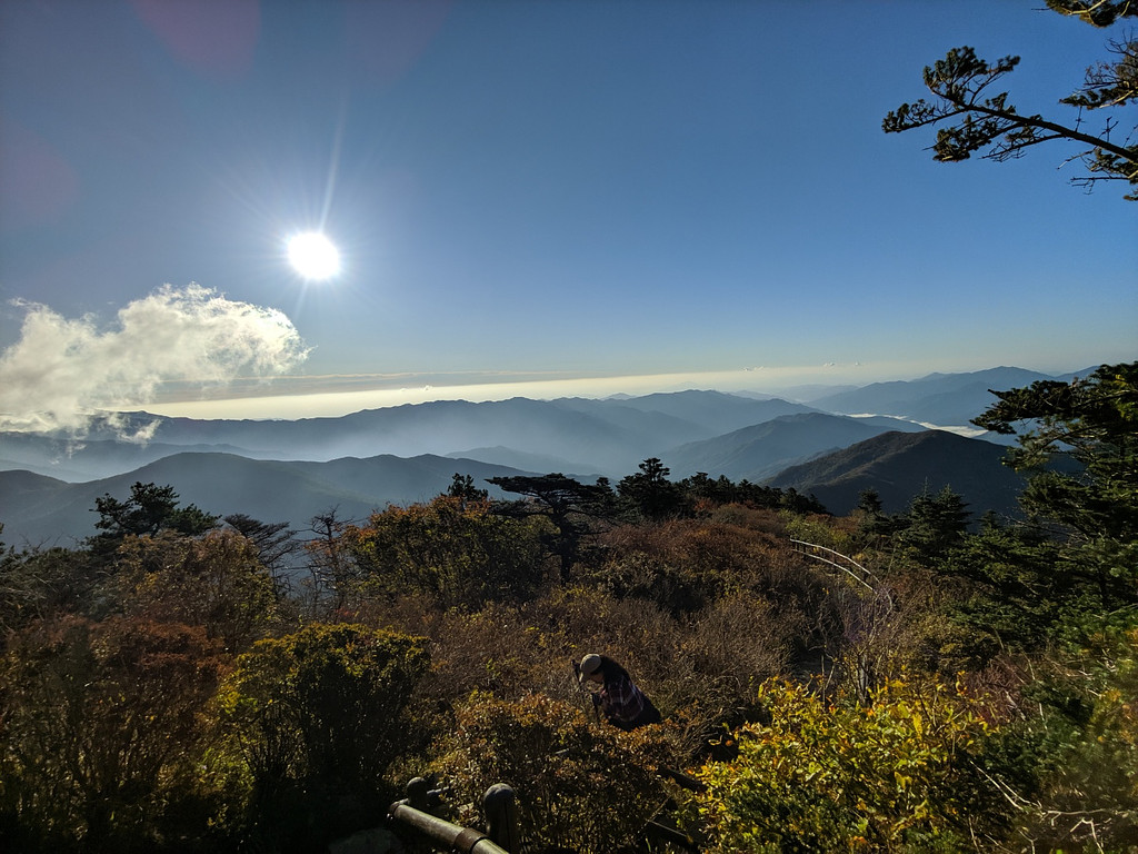 [산에 대체 뭐가 있는데요?] 지리산 성중종주만 실패한 줄 알았더니의 썸네일 이미지