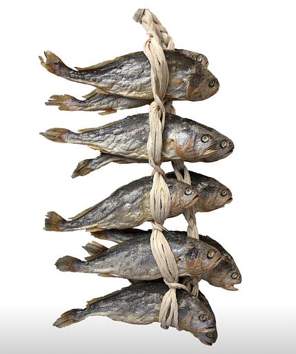 링크드인 성장레터 by 굴비선생의 프로필 이미지