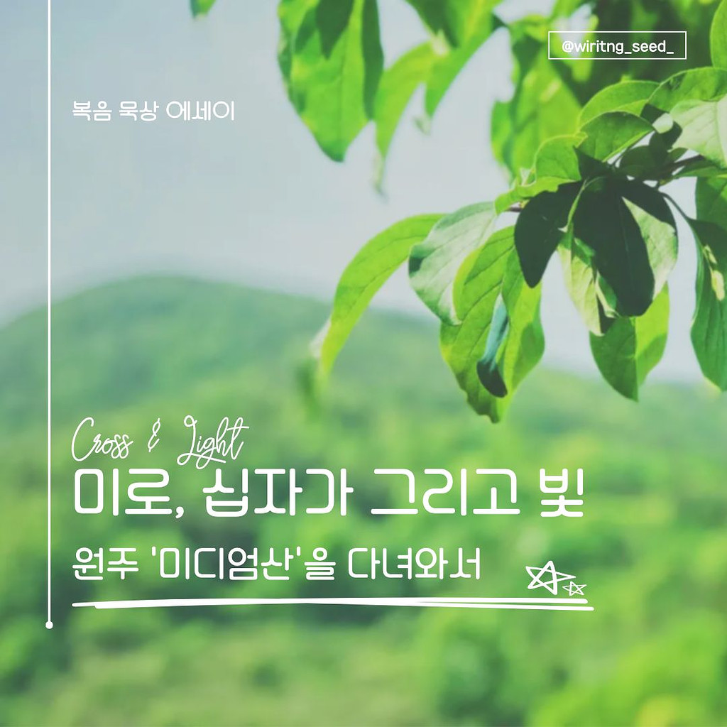 미로, 십자가 그리고 빛의 썸네일 이미지