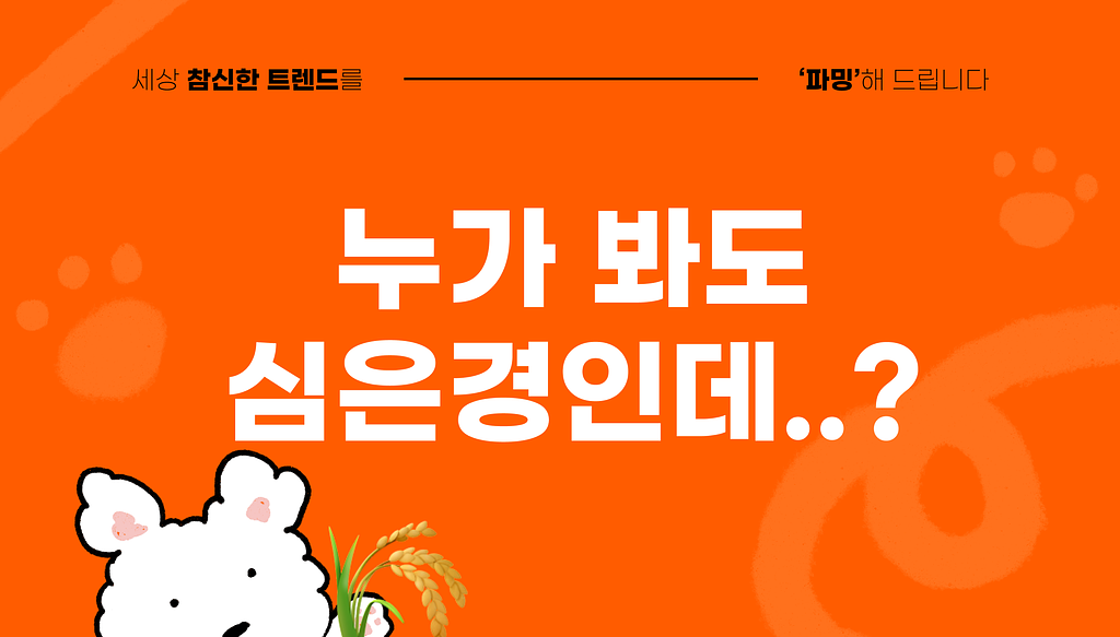 브랜드 SNS 계정, 이제는 이렇게 바뀌고 있다의 썸네일 이미지