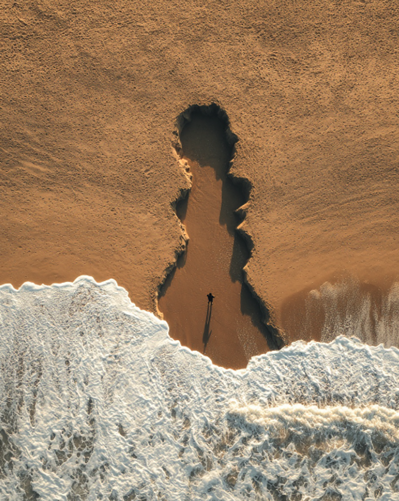 🖤 《흑조전 : 부재의 흔적과 대지》의 썸네일 이미지