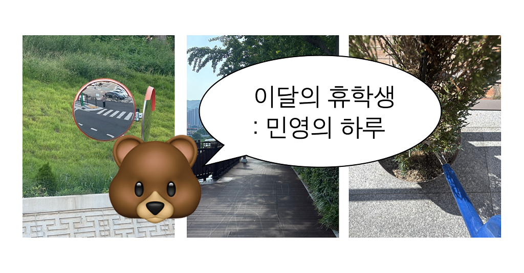 9월의 휴학생 : 민영의 하루🐻의 썸네일 이미지