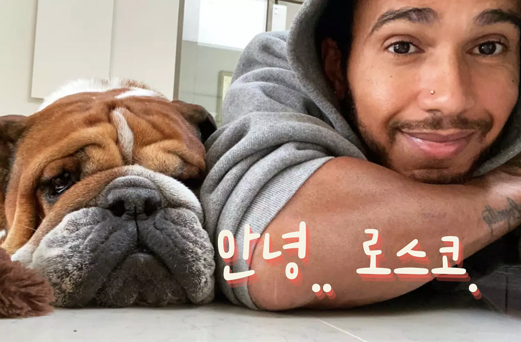 스프린트 10회? 끝없는 확장은 '과유불급'의 썸네일 이미지