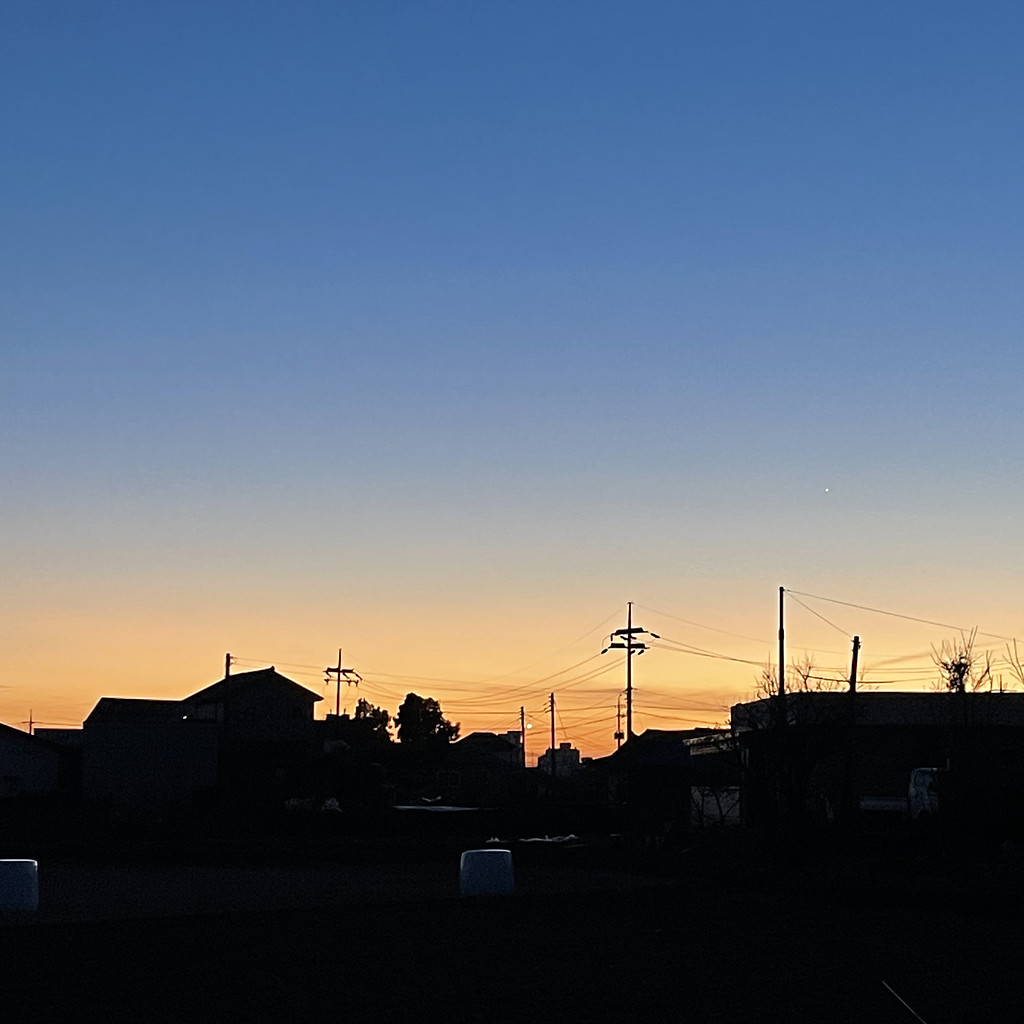 나무방 이전에 복숭아방이 있었다 의 썸네일 이미지