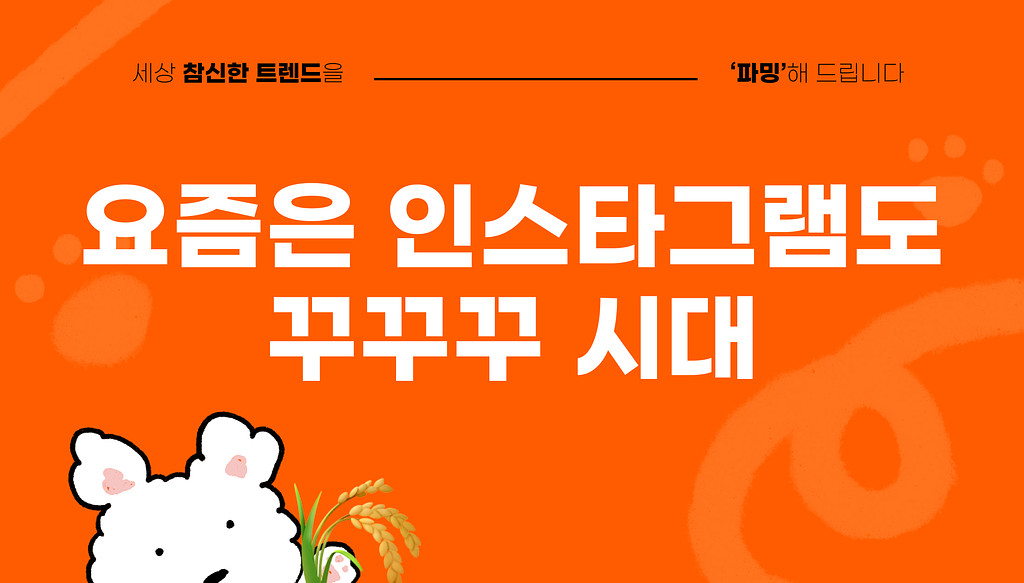 요즘 Z세대의 인스타그램은 어떨까?의 썸네일 이미지