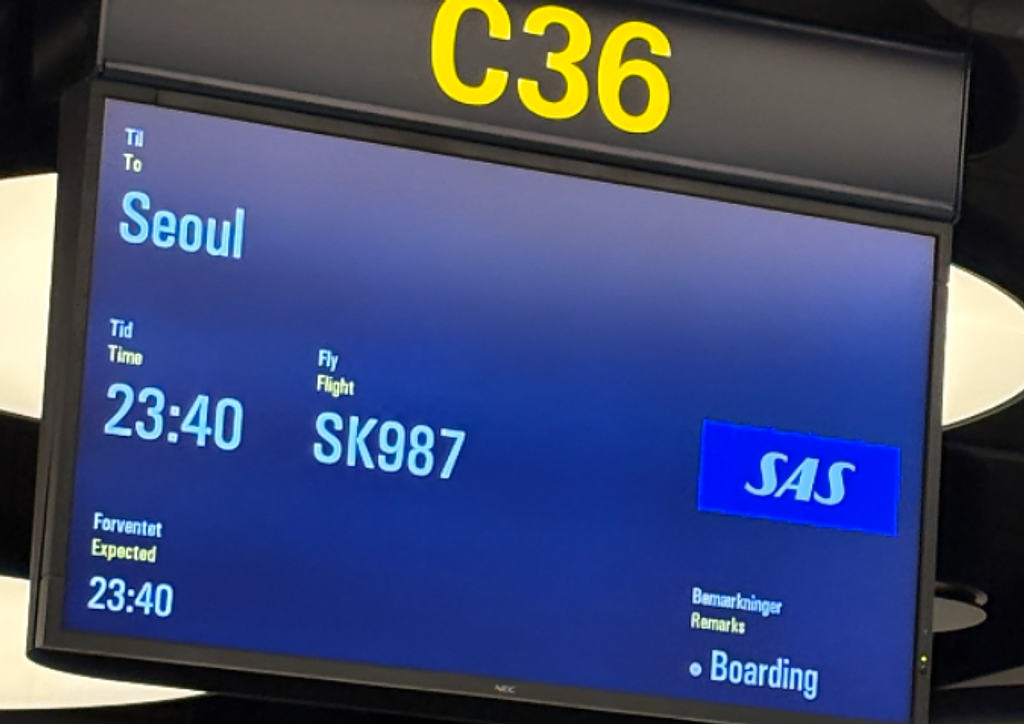 [위클리스웨덴] 10월 넷째주 뉴스레터😊의 썸네일 이미지