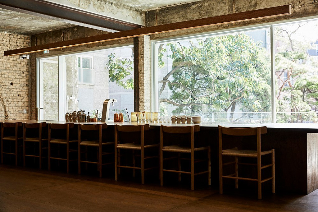 🔍 앤트러사이트는 왜 호불호가 갈릴까의 썸네일 이미지