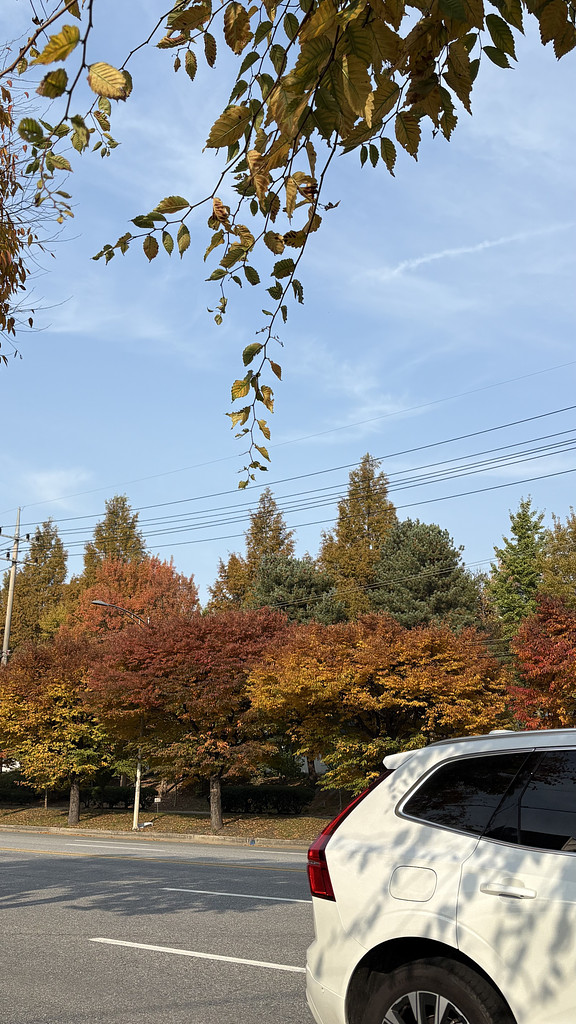 밖, 굴레, 꿈의 썸네일 이미지