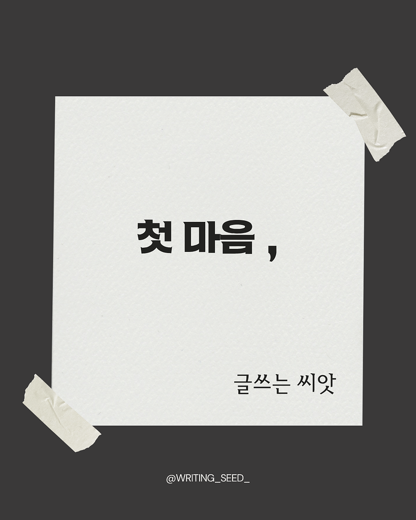 첫 마음의 썸네일 이미지