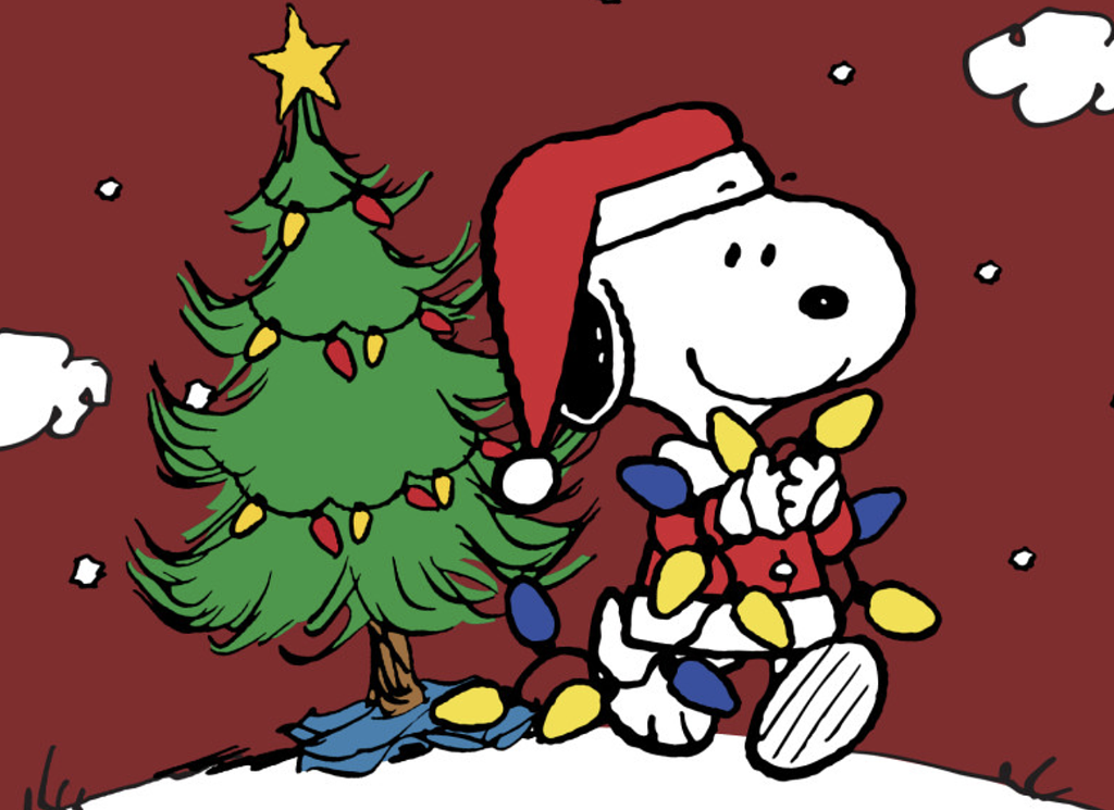 [🌳이팝조팝] #38 D-50! 미리 만나볼 수 있는 크리스마스 팝업 🎄의 썸네일 이미지