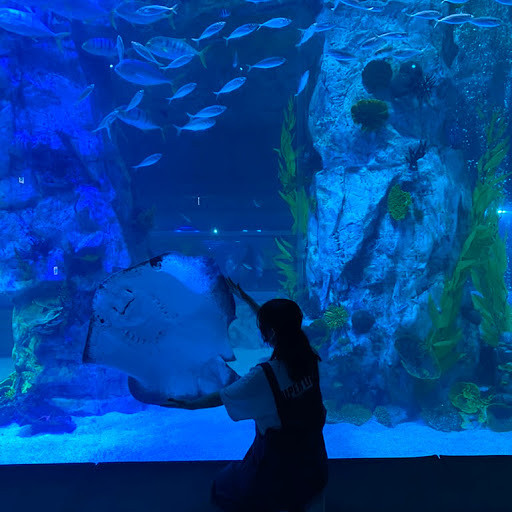 민경의 프로필 이미지