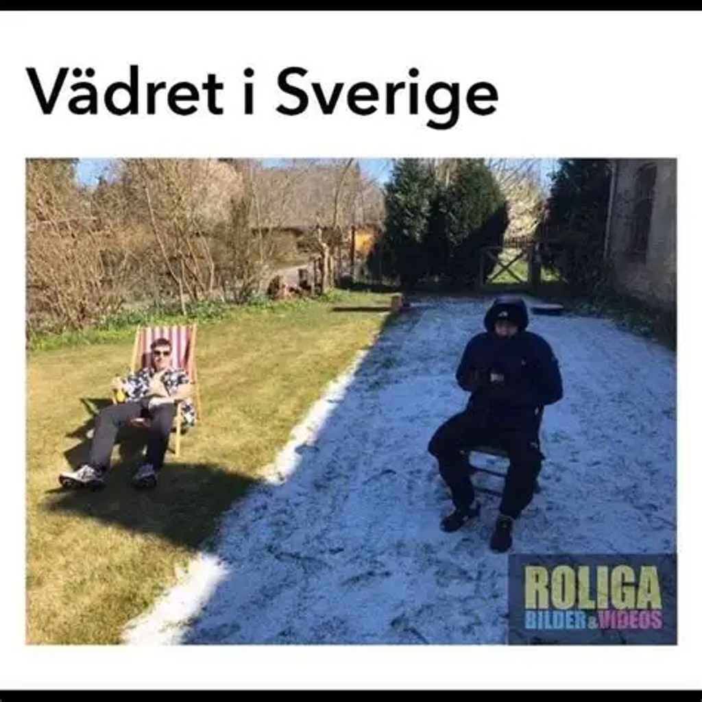 [위클리스웨덴] 11월 셋째주 뉴스레터❄️의 썸네일 이미지