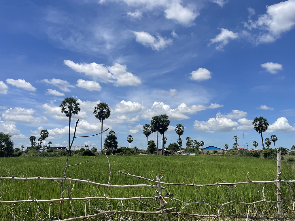 캄보디아 선교-2025-11-27의 썸네일 이미지