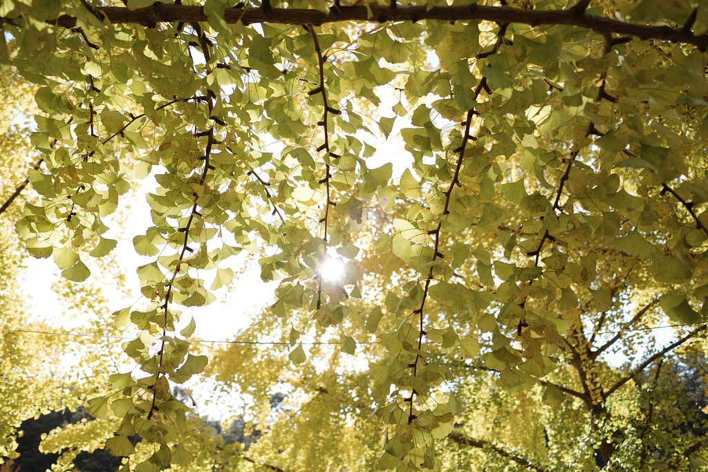 [ 내 인생 구하기 ] 17화 발자국의 썸네일 이미지