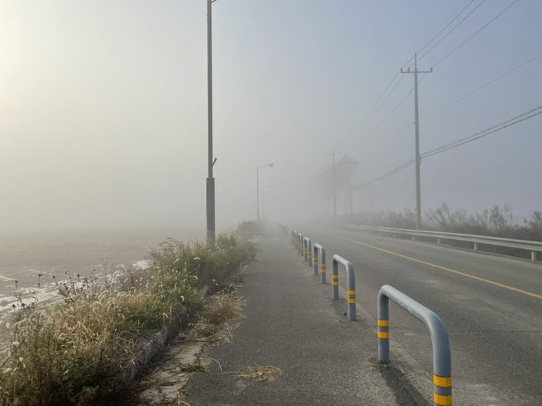 4년 전 요즘 - 2021 1117의 썸네일 이미지