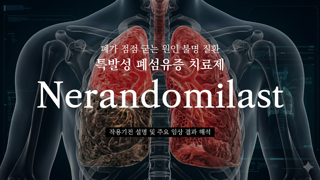 폐가 굳어 숨쉬기가 버거워져..11년 만에 등장한 특발성 폐섬유증 신약, Nerandomilast의 썸네일 이미지