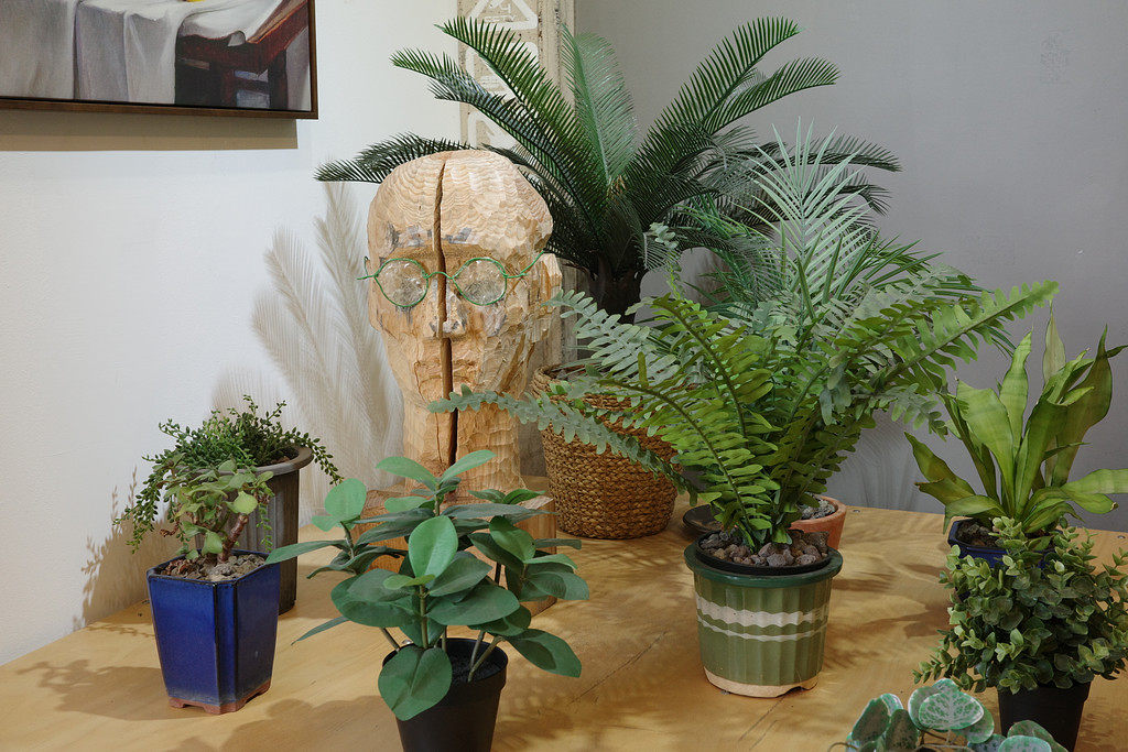 에디터의 취향: 제주 구도심의 매력의 썸네일 이미지