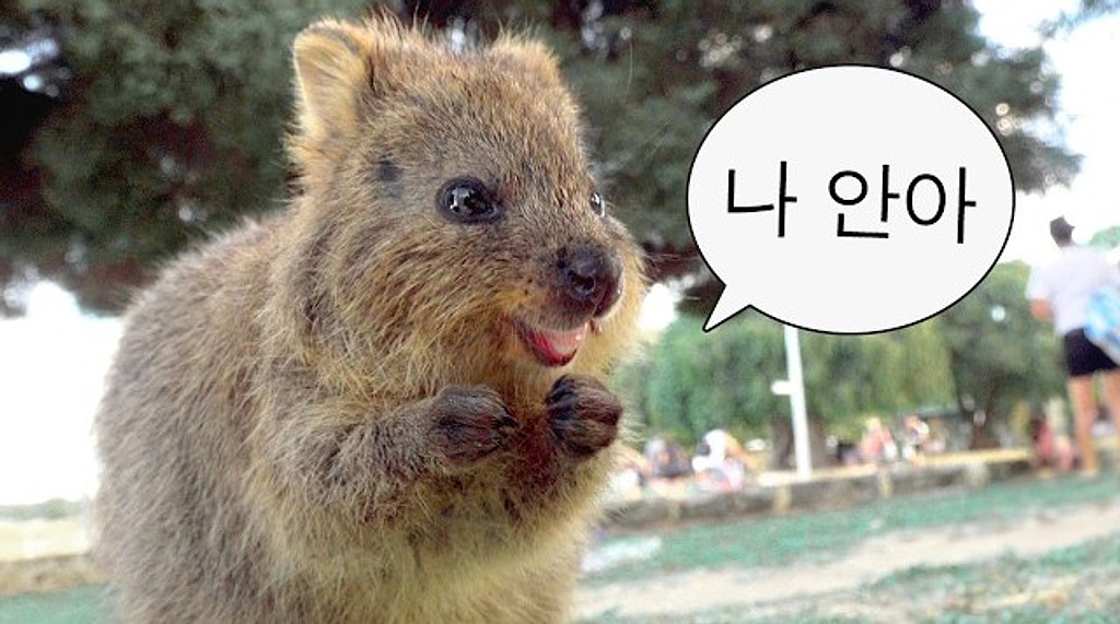 🌽 하나투어에 마케팅 천재가 입사했다..?의 썸네일 이미지