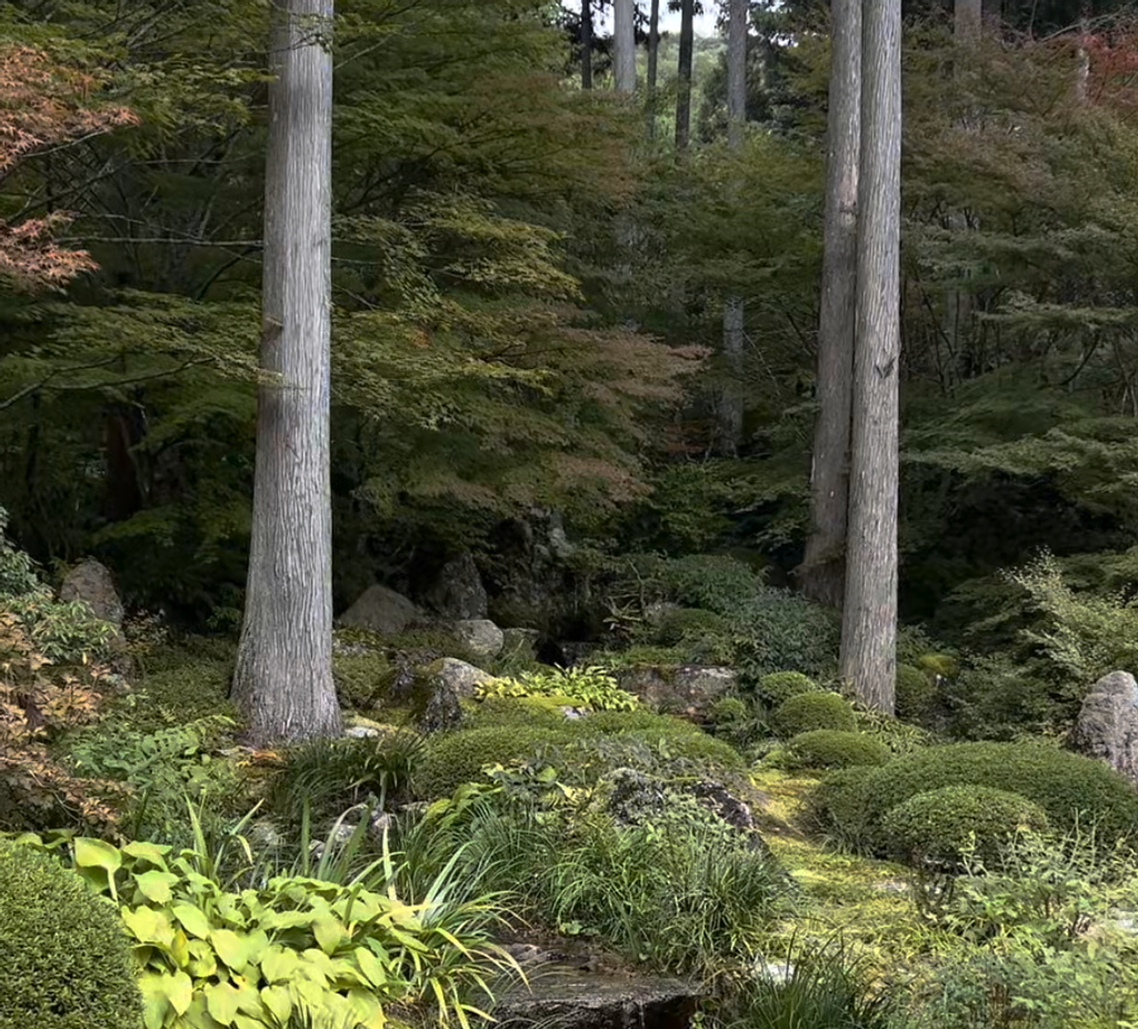 명상하고 싶을 때, 산젠인의 썸네일 이미지