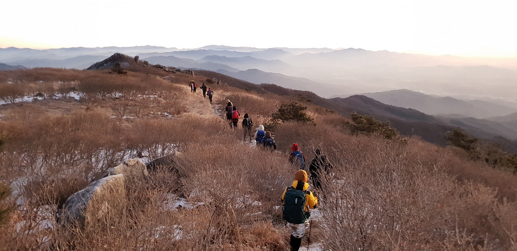 [산에 대체 뭐가 있는데요?] 산에서는 왜 낯선 사람들이 가족이 되는가의 썸네일 이미지