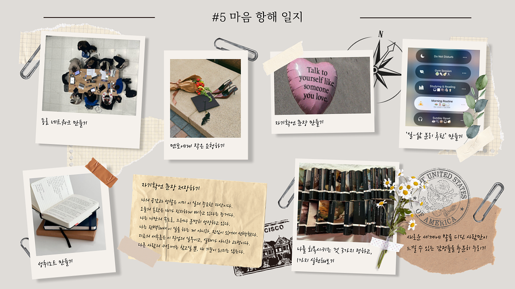 5호 초심자(Early Career)의 계절 — 정체성이 자리 잡는 시기의 썸네일 이미지