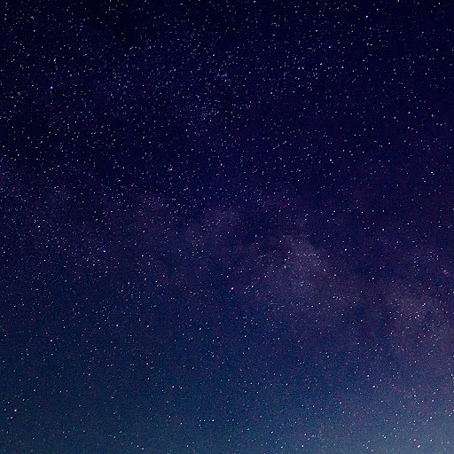 Young의 프로필 이미지